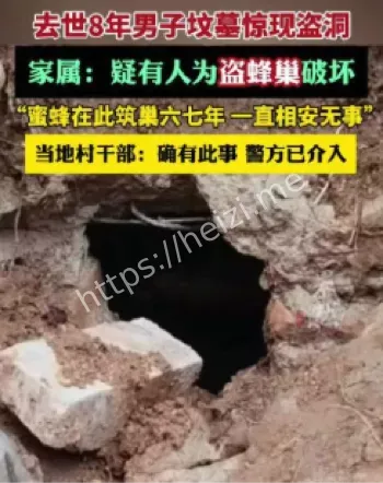 云南泸西坟墓盗洞